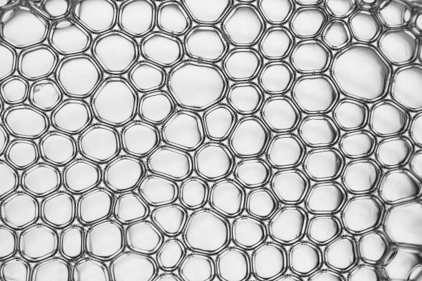 细胞和细胞膜素材图片