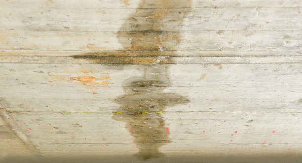 我的楼里有洪水图片下载