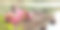 红酒图片素材ID：317729934
