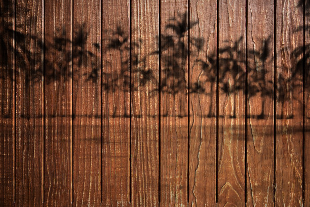 棕榈树阴影和木板墙纹理背景图片下载