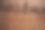 棕榈树阴影和木板墙纹理背景图片下载