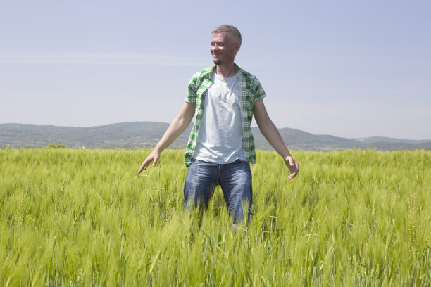 快乐的农民站在他的绿色大麦作物田图片下载
