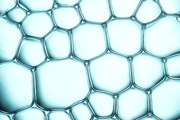 细胞和细胞膜素材图片