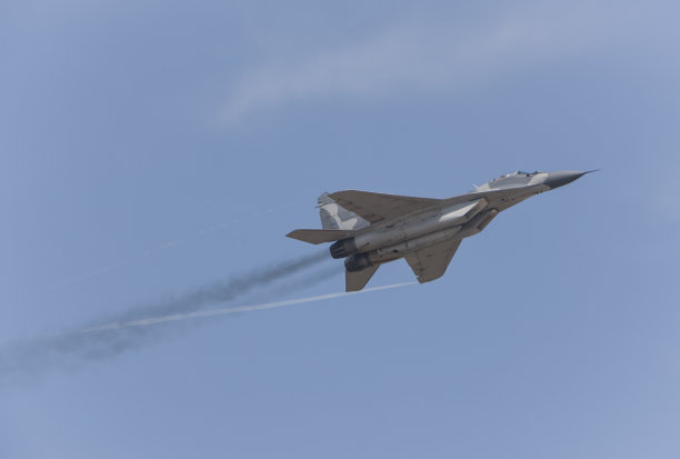 战斗机照片素材ID：317749854