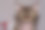 你在看我吗?图片下载