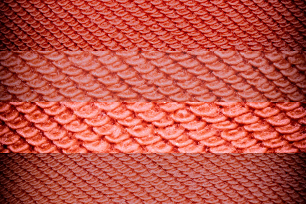 织物有强烈的冲孔色纹理或背景图片下载