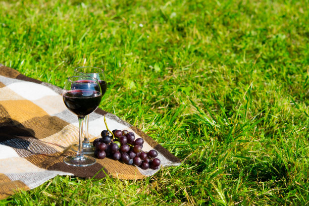 这是一幅装在笼子里的草格子图案的浪漫作品，两杯葡萄酒和一串黑葡萄图片下载