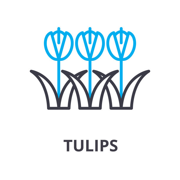 郁金香花细线图标，标志，符号，插图，线性概念，向量素材图片