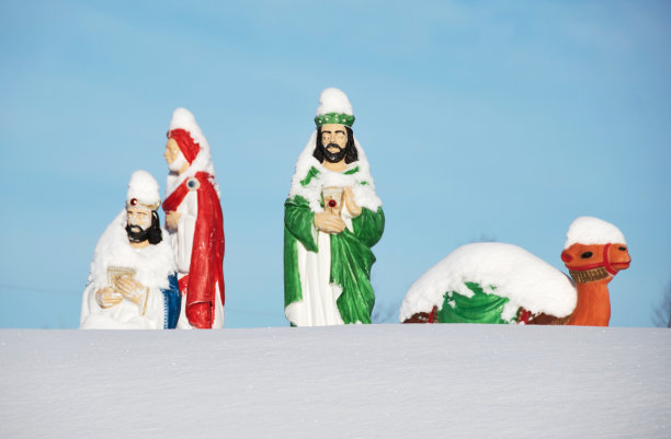 雪中的智者图片下载