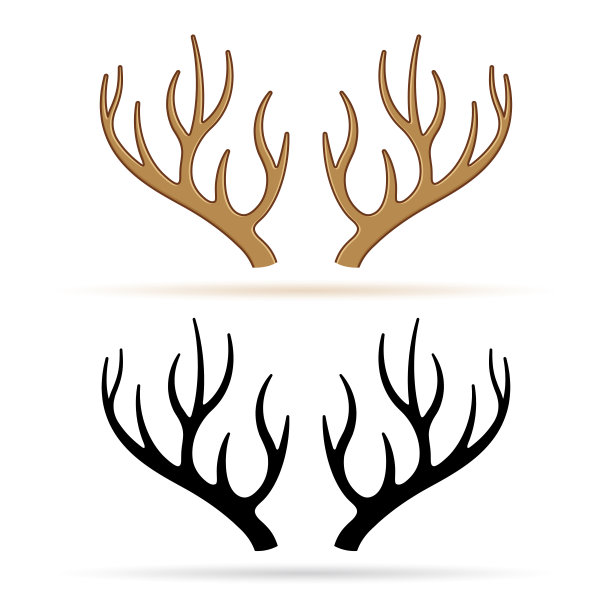 白色背景上的鹿角图片下载