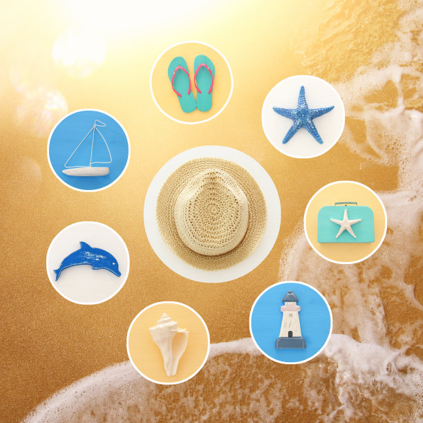 海上拼贴与海洋生活风格的对象。图片下载