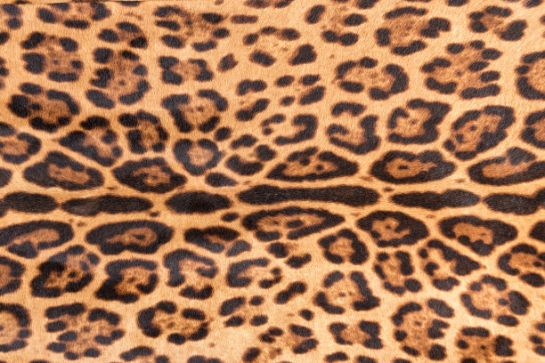 仿豹皮纹理背景图片下载