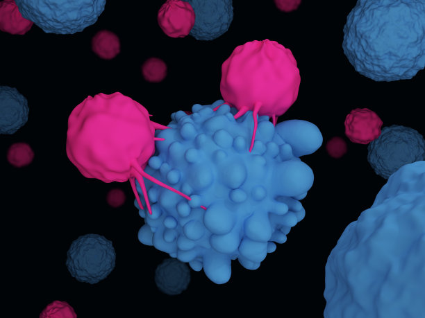 T细胞攻击癌细胞图片下载