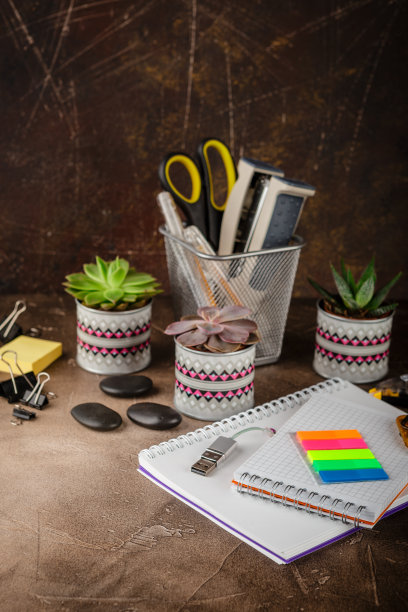 桌上放着记事本和多肉植物。业务概念。图片下载