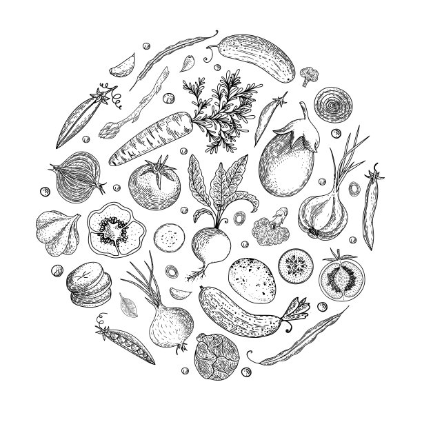 农贸市场菜单设计模板：复古手绘草图矢量素材，可用于包装纸、宣传单、banner、商店、菜单、咖啡馆、餐厅图片下载