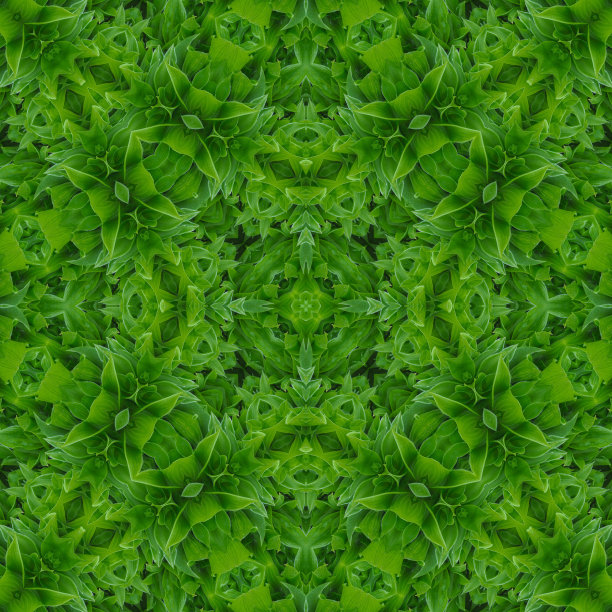 无缝抽象多色图案图片下载