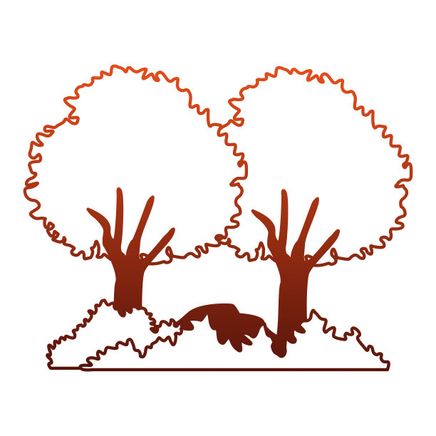 树上有灌木和岩石，画着红线图片下载