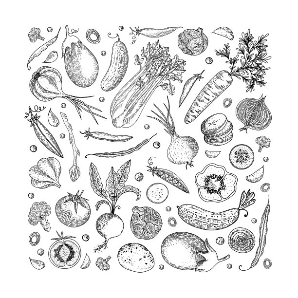 农贸市场菜单设计模板：复古手绘草图矢量素材，可用于包装纸、宣传单、banner、商店、菜单、咖啡馆、餐厅图片下载