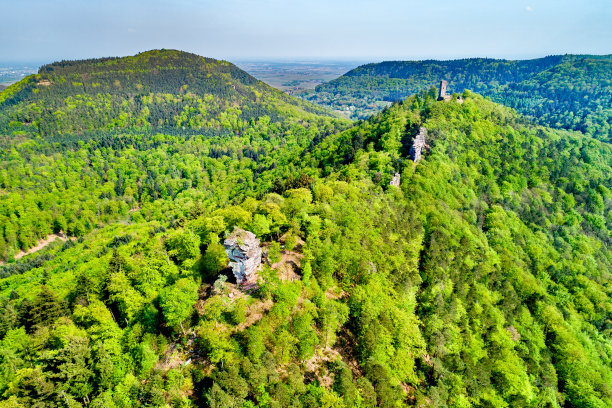 普法尔茨森林中的阿尼波斯和沙尔芬堡城堡。德国莱茵兰-普法尔茨州图片下载