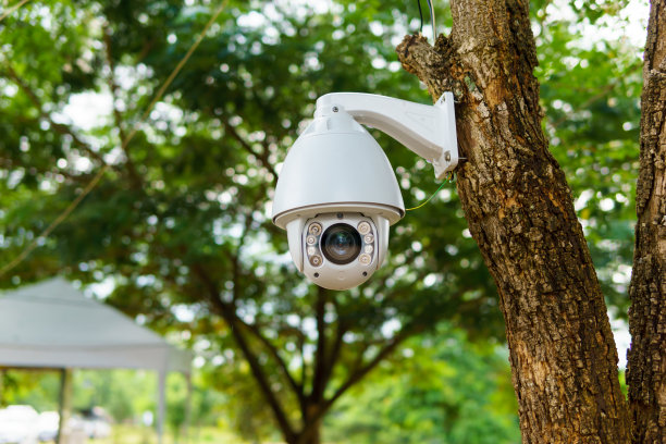 白色安全监控摄像头安装在树枝上素材图片