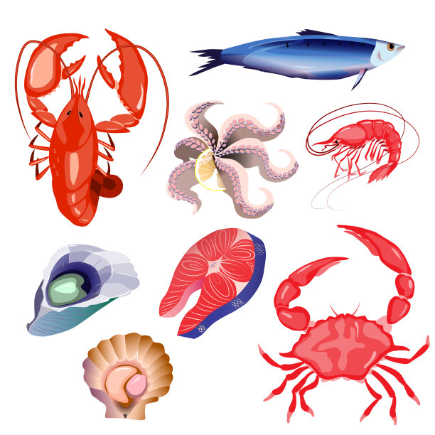 的海鲜。矢量插图。白色背景上的孤立物体。龙虾、鱼排、虾、扇贝、牡蛎、红蟹、章鱼。图片下载