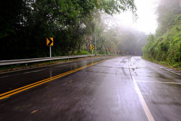 雨中有雾的森林里路面潮湿图片下载