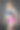 用哑铃锻炼的女人图片下载