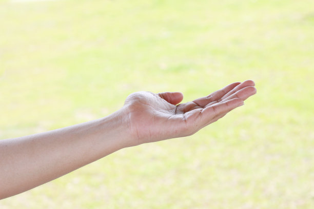 女人的手孤立在绿色背景上图片下载