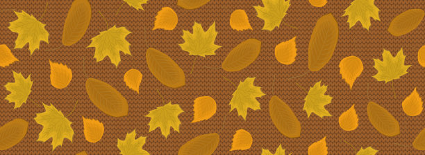 秋叶在编织的背景上素材图片