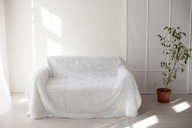 房间里有白色的沙发和绿色的室内植物图片下载