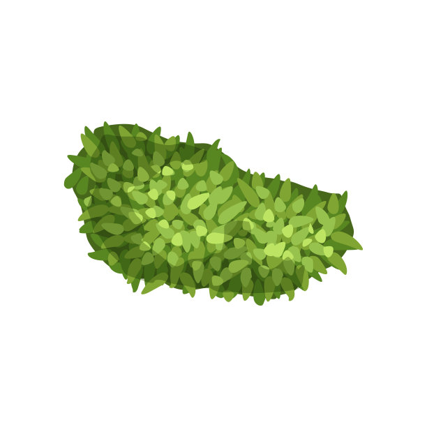 植物，景观自然设计元素，顶视图矢量插图上的白色背景图片下载