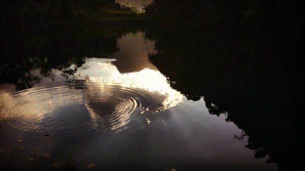 反射波图片下载