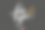 手绘字体，为您装饰花卉。优雅的现代手写体书法。向量墨水插图。字体海报在黑暗的背景。用于卡片、请柬、印刷品等。图片下载