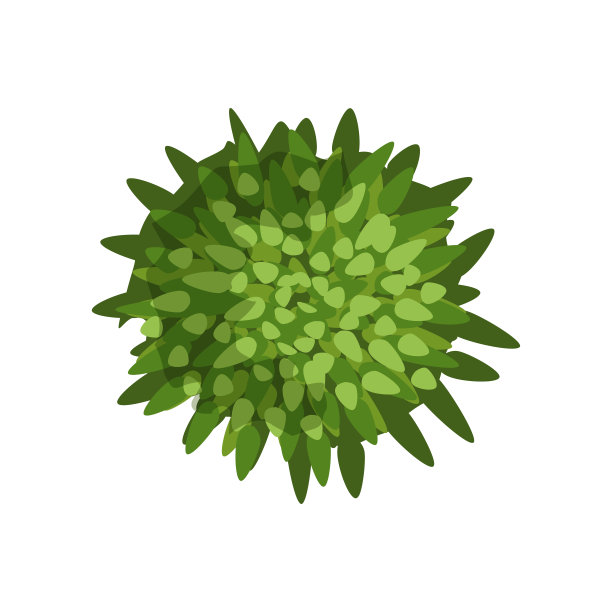 绿色植物，景观设计元素，顶视图矢量插图上的白色背景图片下载