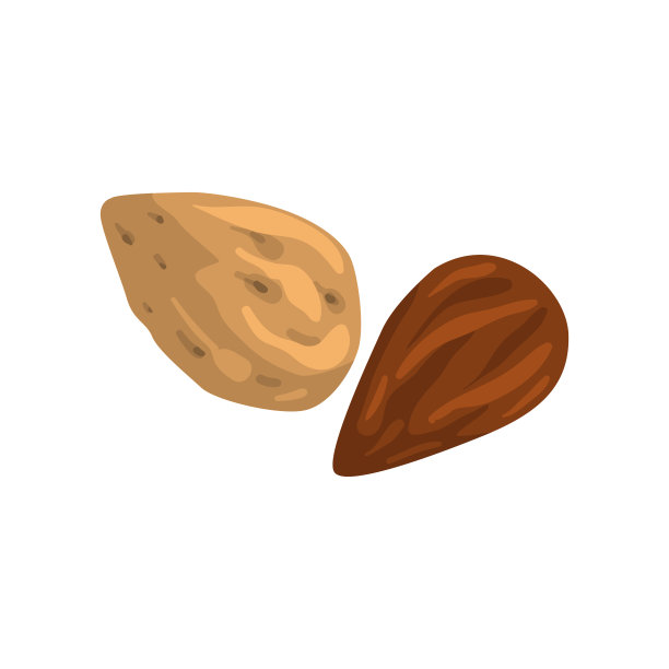 杏仁，营养天然产品载体白色背景插图图片下载