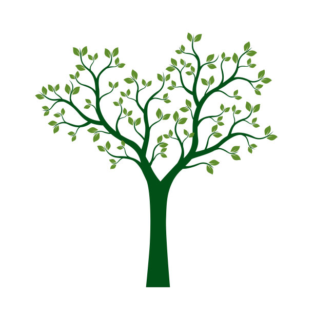 绿色的春天树与树叶。矢量插图。图片下载