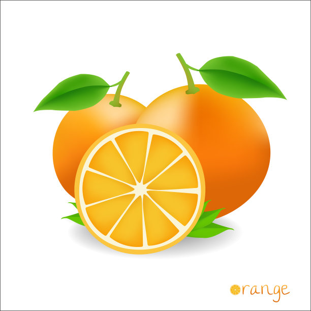 向量二橙色与叶子在白色的背景素材图片