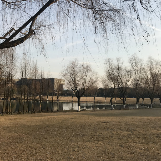 寒冷的冬天图片下载