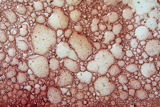 不同大小的红色气泡的照片，背景图片下载