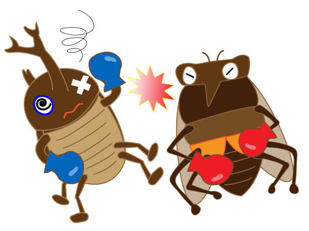 体育昆虫图片下载