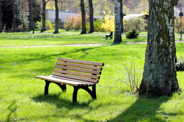 绿色公园里的长椅图片下载