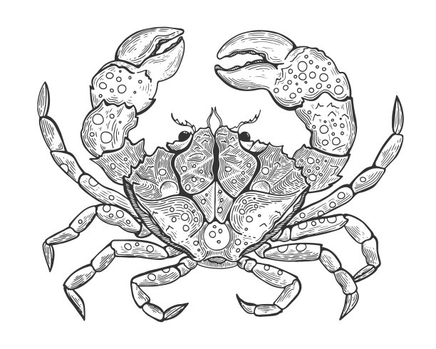 手绘复古图形插图与现实的螃蟹。海洋生物。复古版画插画艺术。健康食品。模板设计的海上商店，餐厅，市场。素材图片