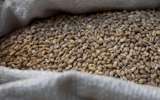 在市场上装满小麦的袋子里。宏观照片。富含微量元素纤维素的健康膳食。素食者和关心的人的食物是健康。Organin食物。图片下载