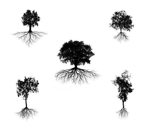 树的轮廓图片下载