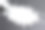 塑料颗粒。透明的聚乙烯颗粒。塑料原料。高密度聚乙烯(PE-HD)。PE-LD图片下载