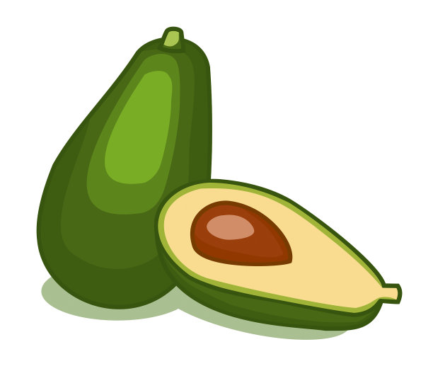 在白色背景上孤立的鳄梨。矢量插图。图片下载