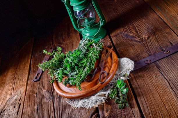 草本组合:百里香，牛至，迷迭香图片下载