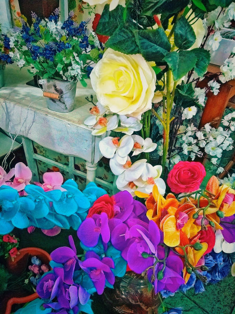 彩虹花朵图片下载