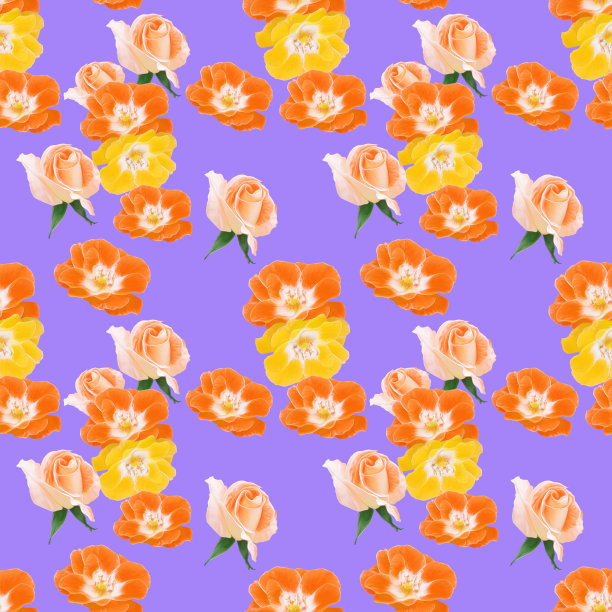 玫瑰,玫瑰flowe。花型纹理无缝。花背景，照片拼贴图片下载