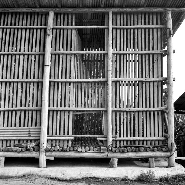 谷仓鸡眼图片下载